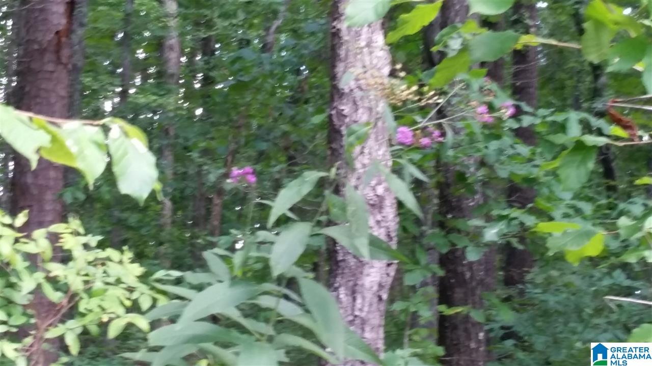 1885 Brooks Lake Road Lincoln, AL 35096 - Photo 30 of 30