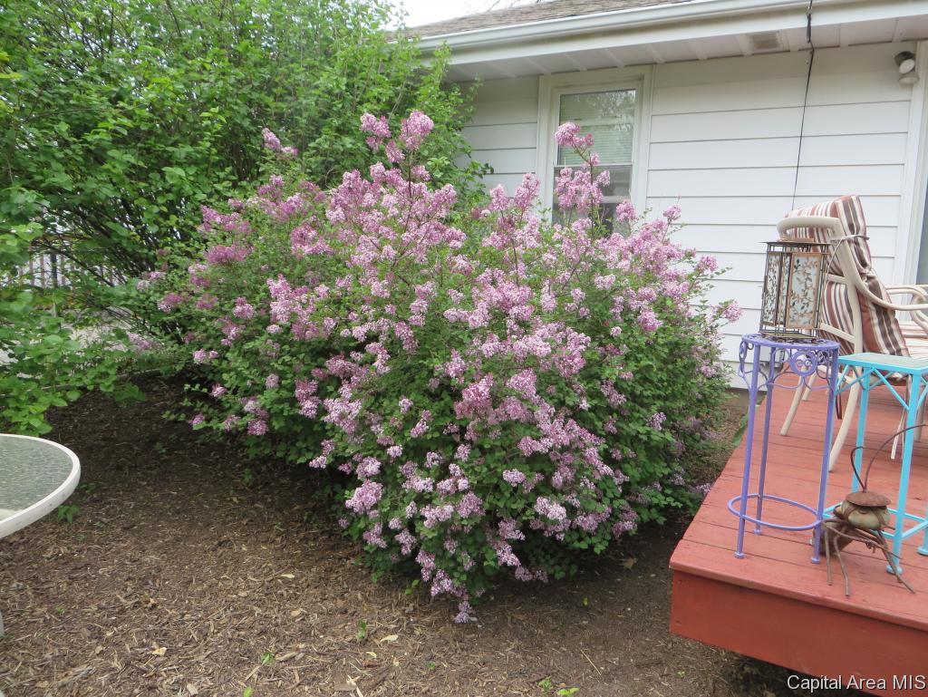 12 Midland Court Springfield, IL 62702 - Photo 6 of 18