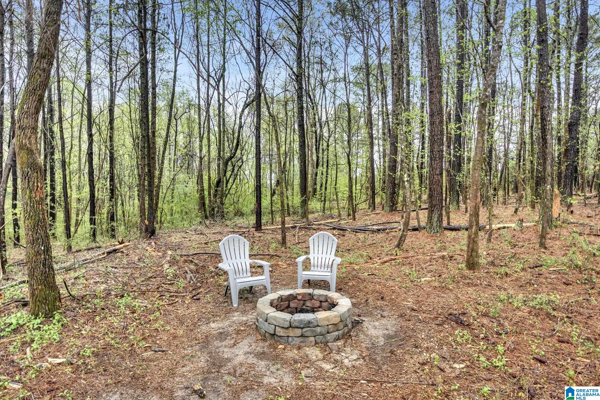 76 Sitton Road Hayden, AL 35079 - Photo 24 of 29
