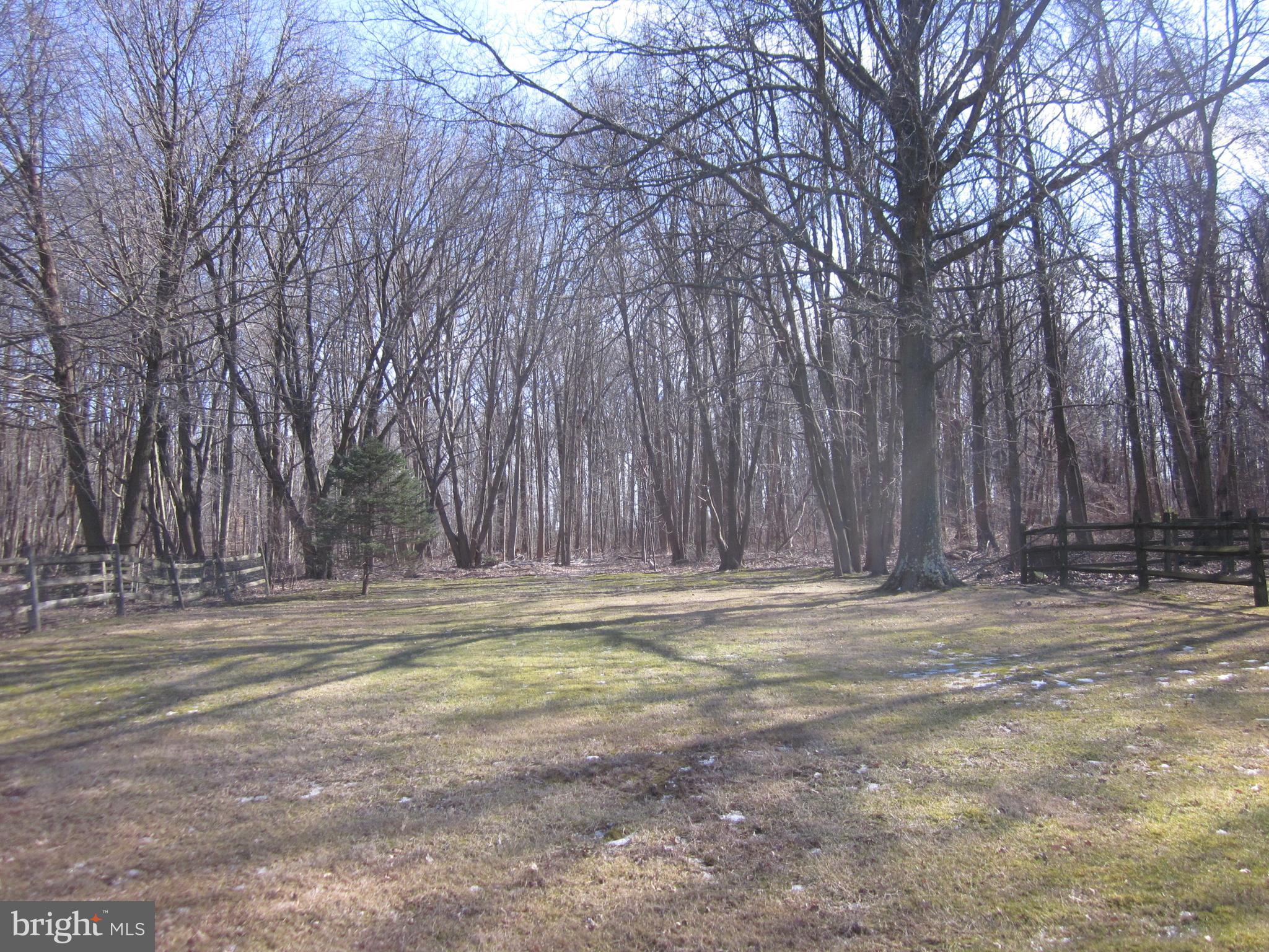 11605 Stevens Road Philadelphia, PA 19116 - Photo 44 of 44 a view of a yard with large trees