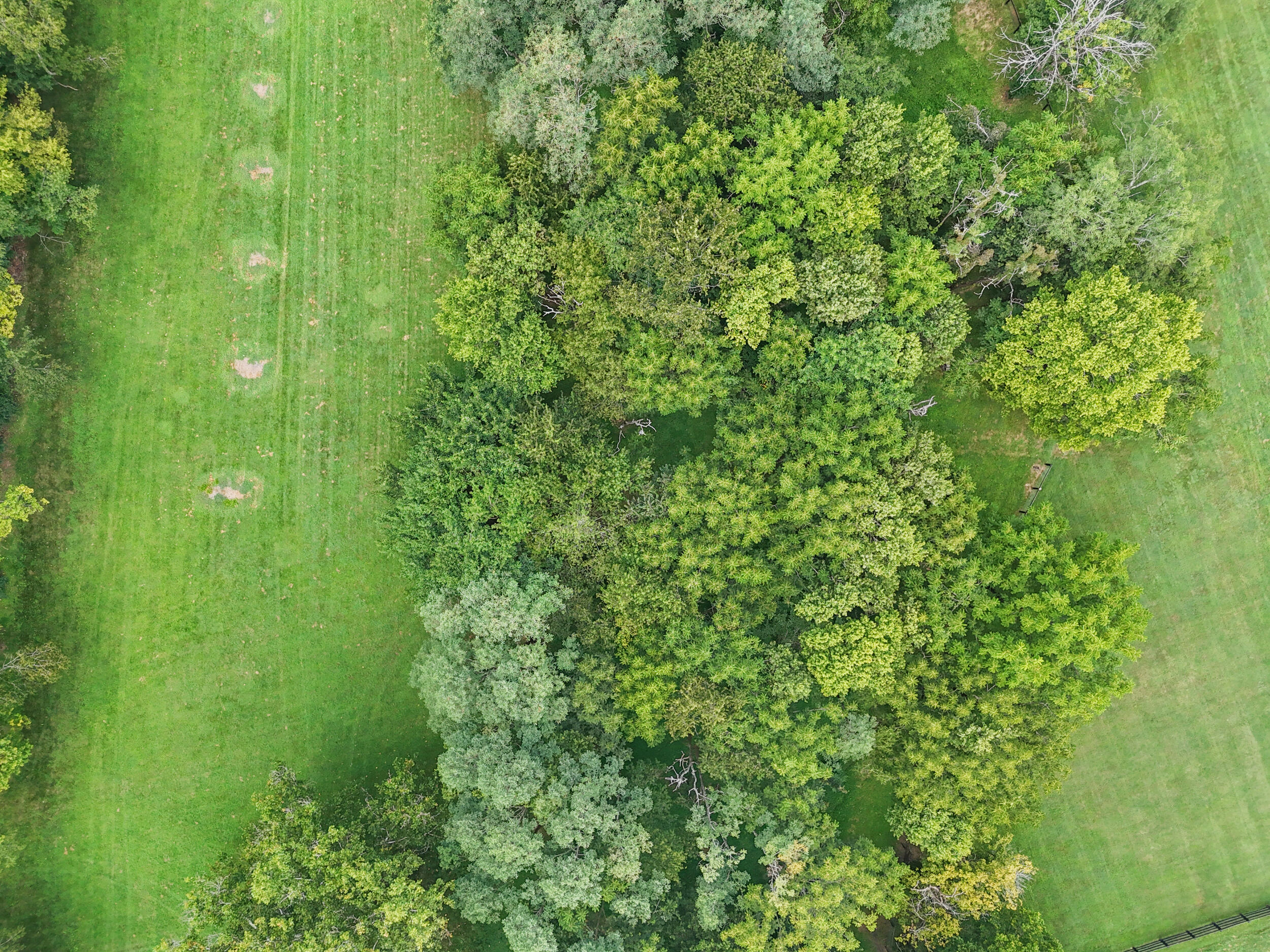 4550 Briar Hill Road Lexington, KY 40516 - Photo 83 of 93 69_dji_20250814123851_0242_d