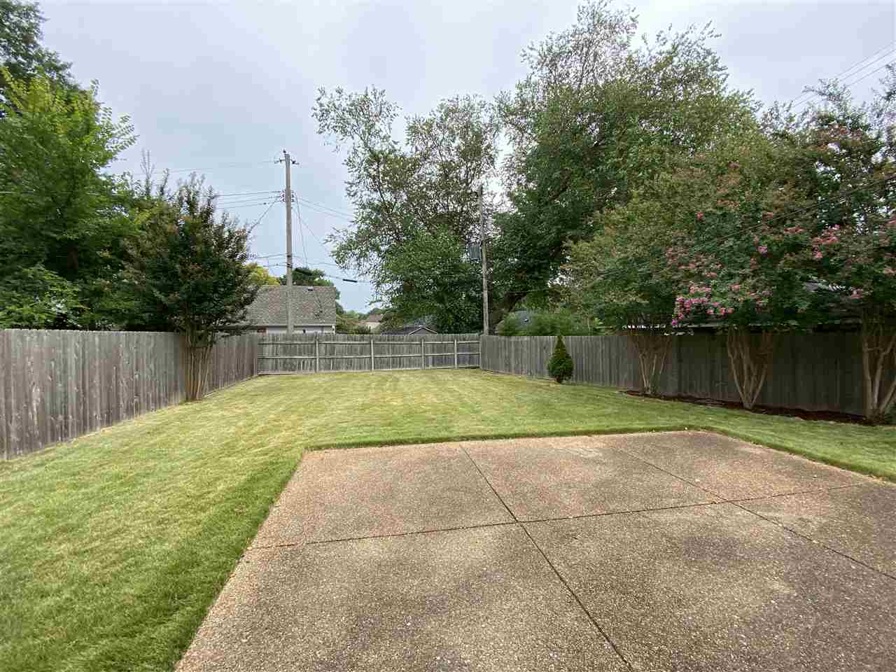5588 Milford Road Memphis, TN 38120 - Photo 14 of 15 a view of a backyard with large trees