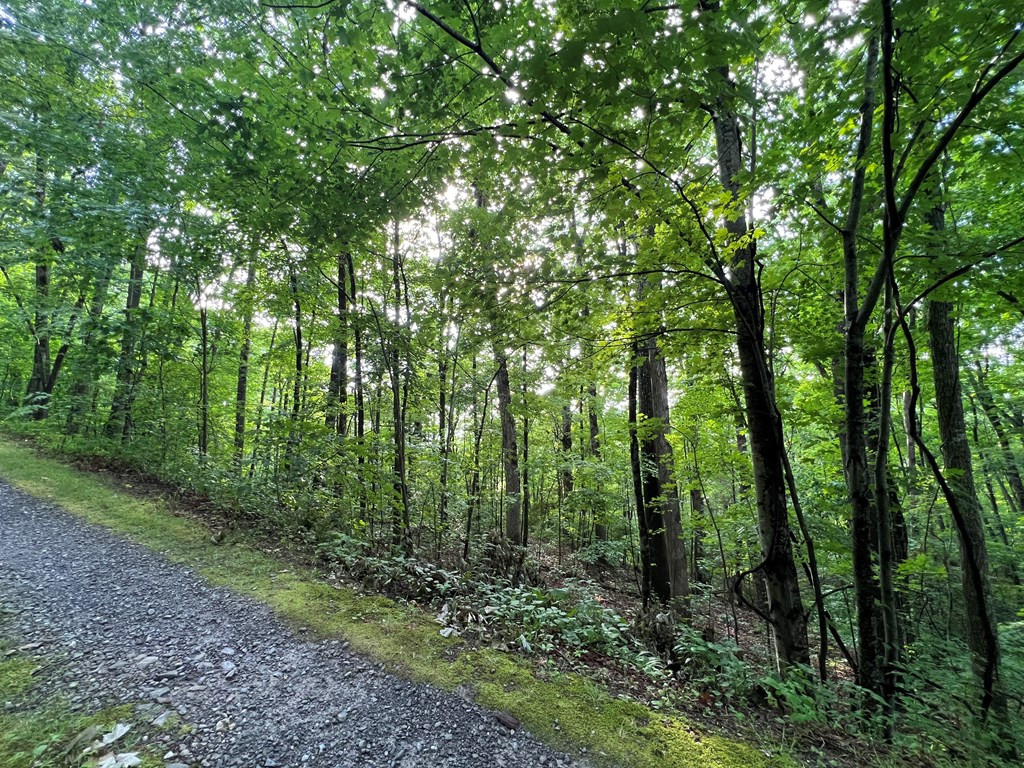 0 Laurel Drive Marble, NC 28905 - Photo 9 of 42