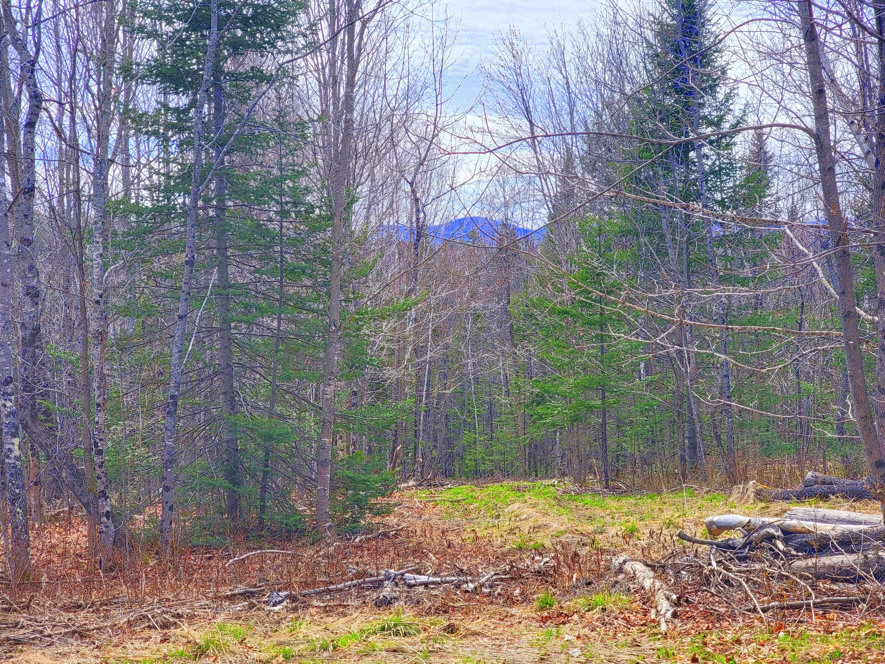 181 Brown Road Farmington, ME 04938 - Photo 109 of 110 Mountain views