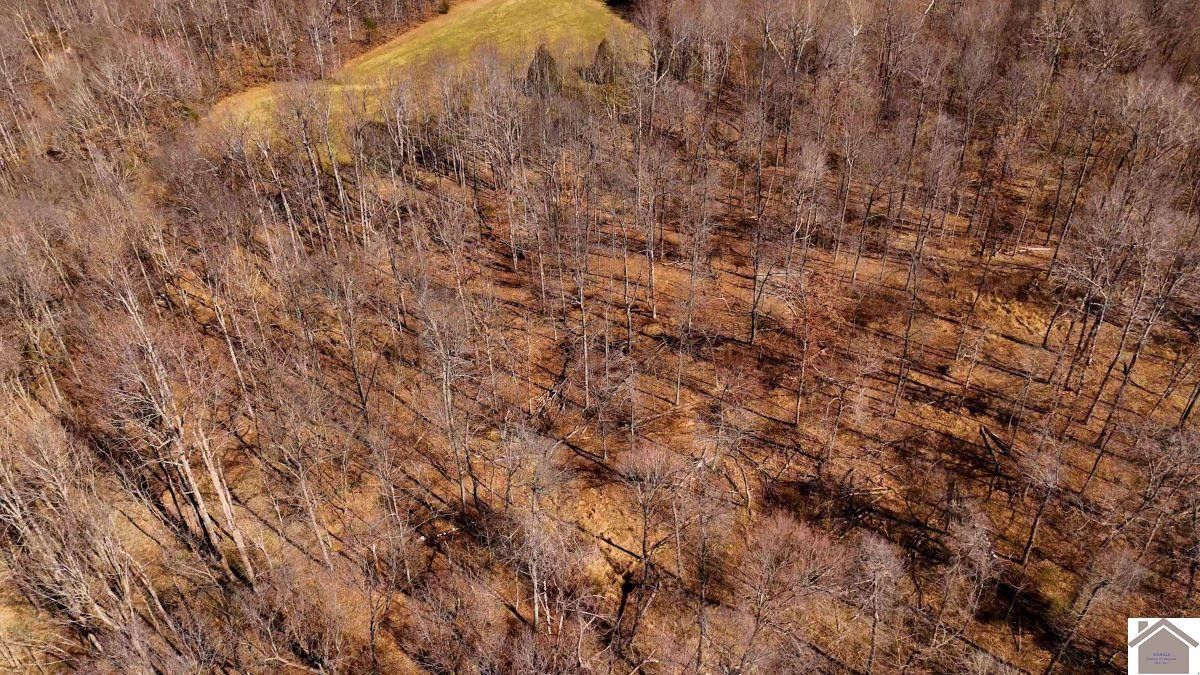 0 Wray Road Wingo, KY 42088 - Photo 32 of 39 Photo 32