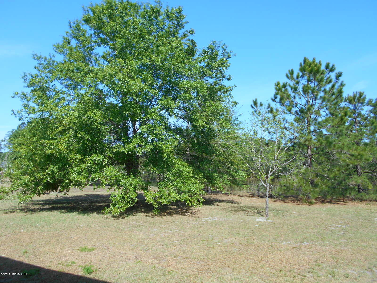 4553 Raintree Drive Macclenny, FL 32063 - Photo 25 of 27 Fenced Rear