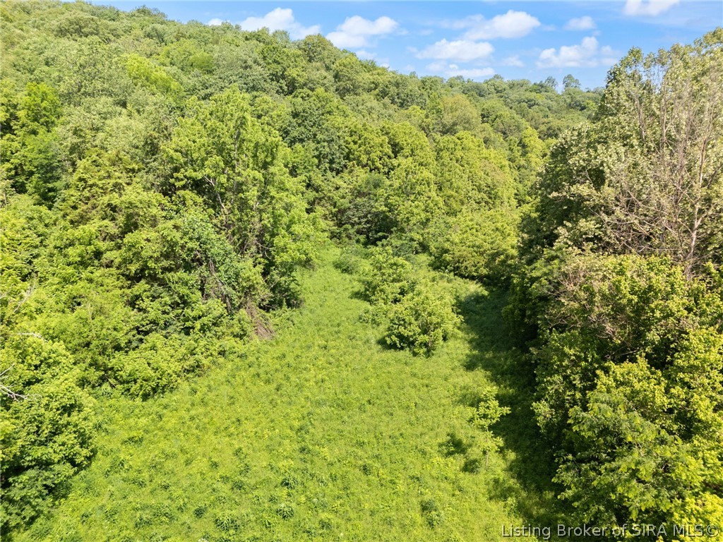 902 Miles Road Nabb, IN 47147 - Photo 17 of 49