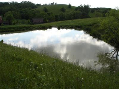 0 Plum Lick Road Paris, KY 40361 - Photo 3 of 3 Photo 3