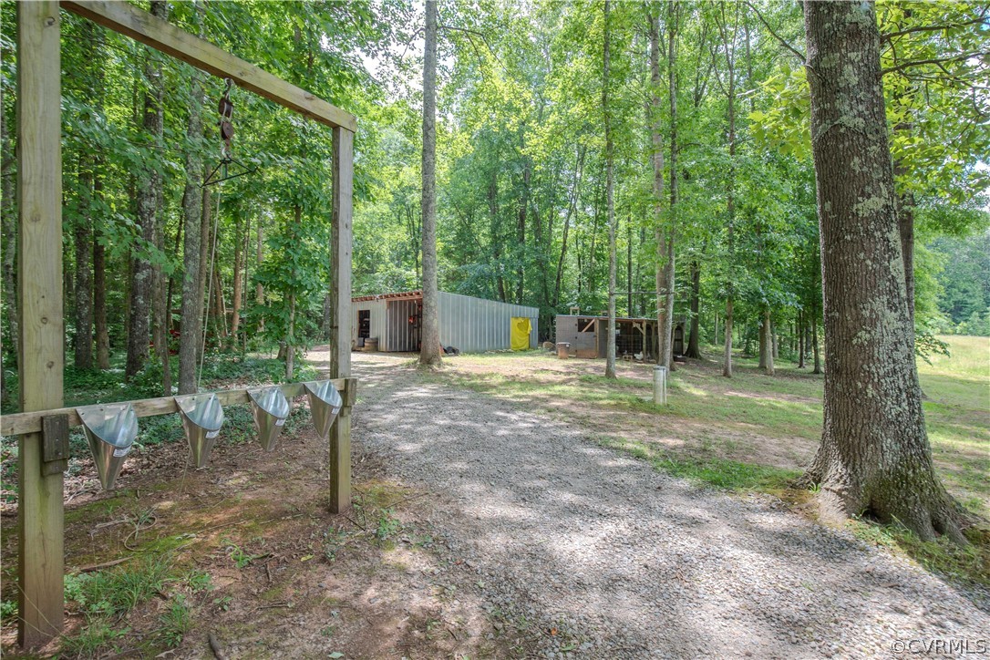 9910 Colemans Lake Road Ford, VA 23850 - Photo 27 of 33 a view of a yard with large trees