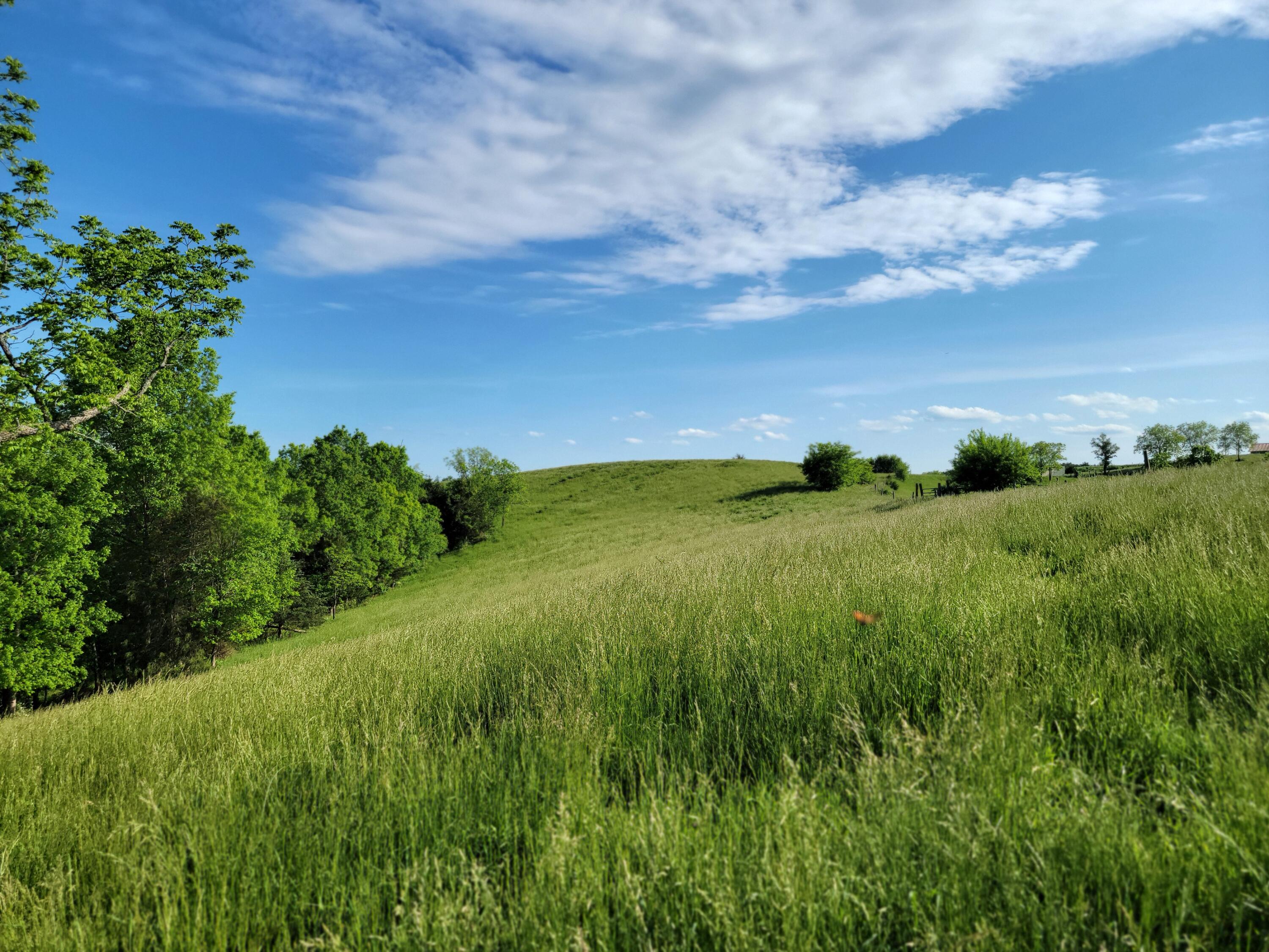 119-acres Keefer Road Corinth, KY 41010 - Photo 21 of 44 Gallery Image 21