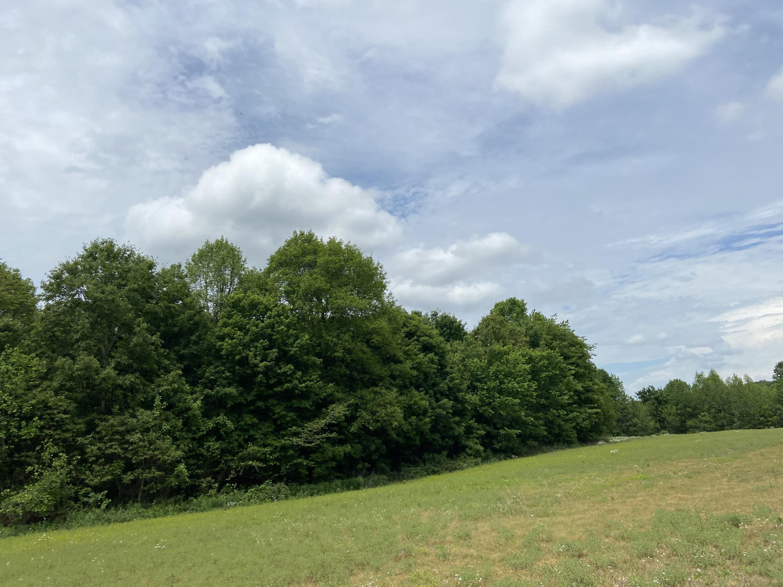 123 South Fork Ridge Road Liberty, KY 42539 - Photo 14 of 28 7D71FBBF-3A21-4EEA-9778-777A6B314955<|>P