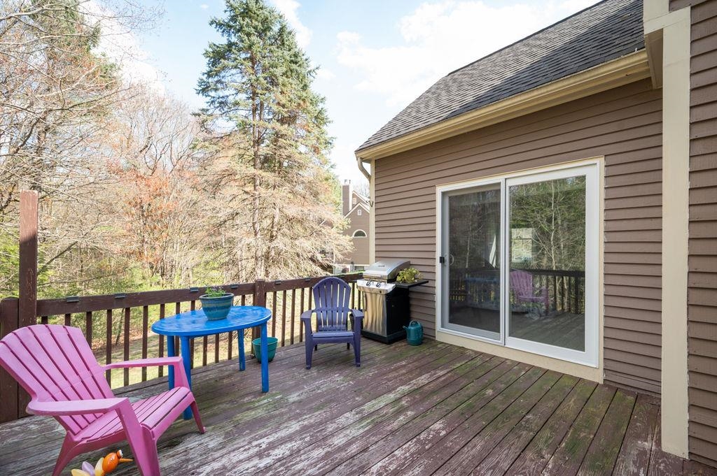 21 Villager Road Chester, NH 03036 - Photo 33 of 44 Gallery Image 33