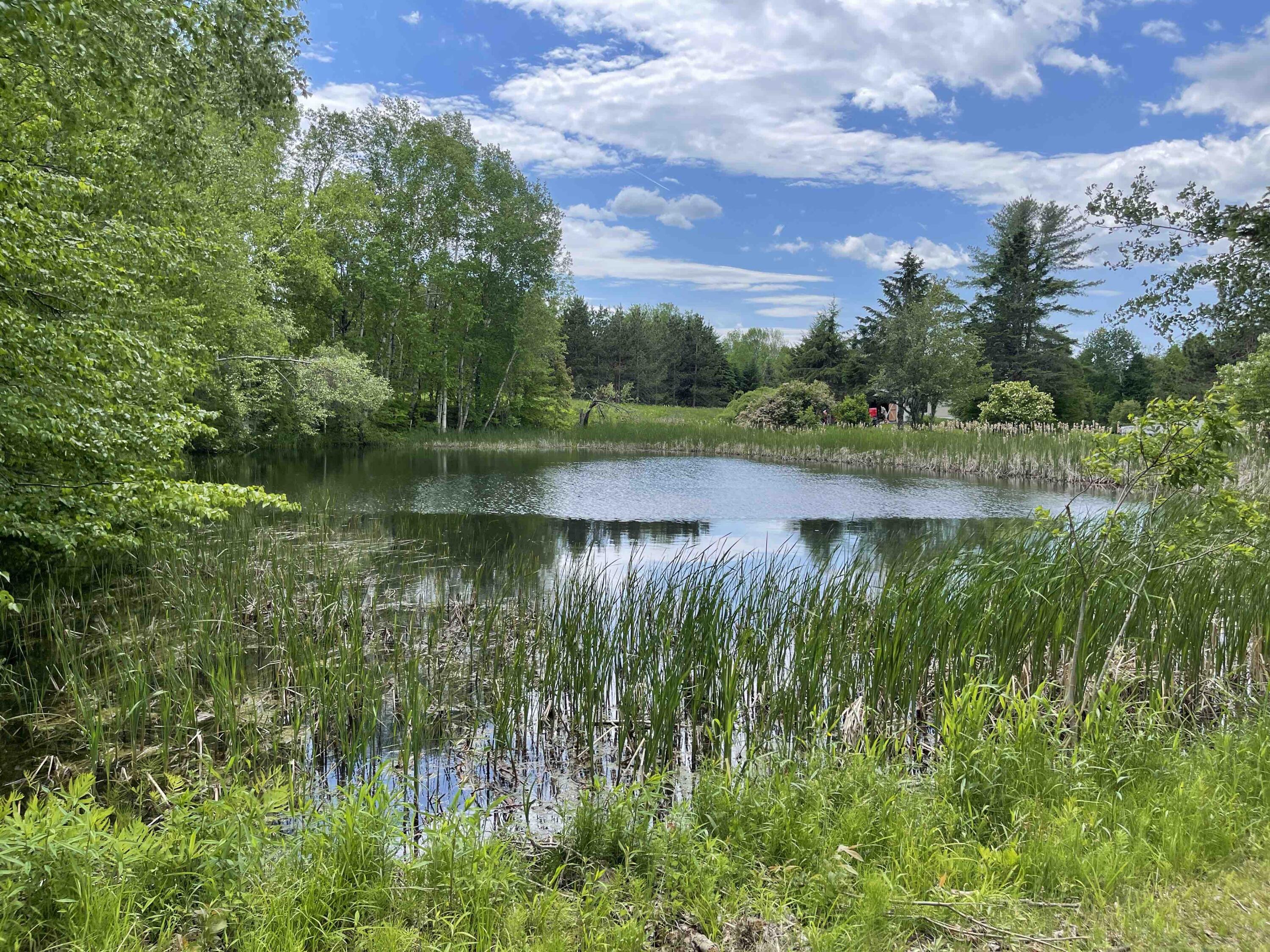 305 Dover Road Dexter, ME 04930 - Photo 12 of 35 12