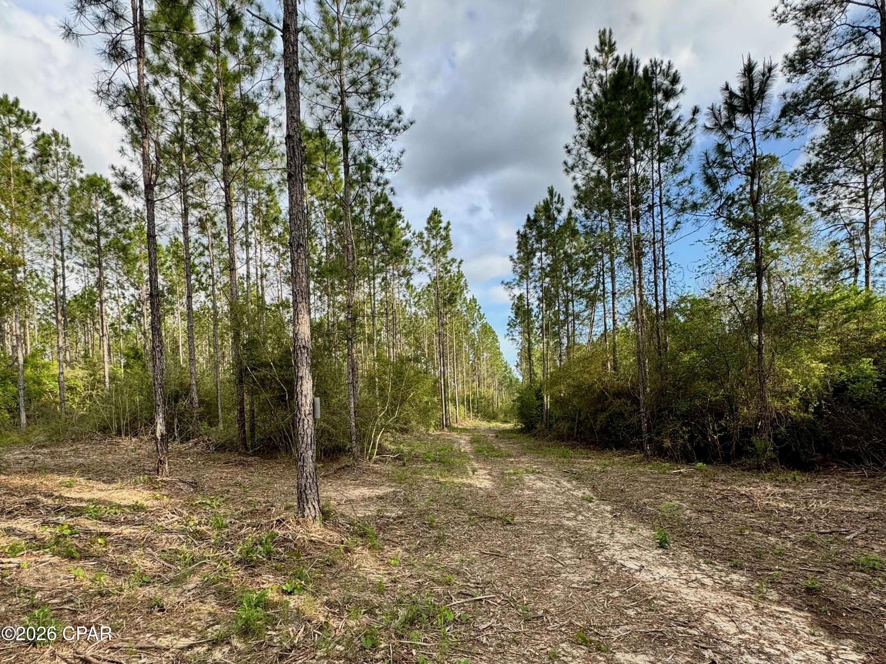 Lot 9 Pleasant Hill Road Bonifay, FL 32425 - Photo 4 of 10