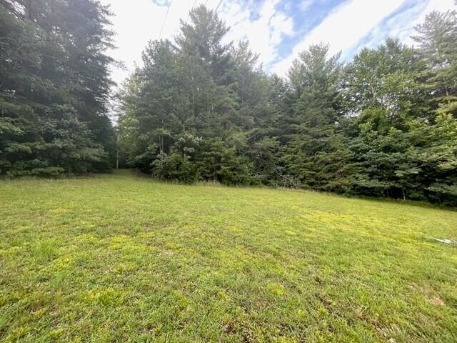 0 Coal Hill Road Harriman, TN 37748 - Photo 3 of 5