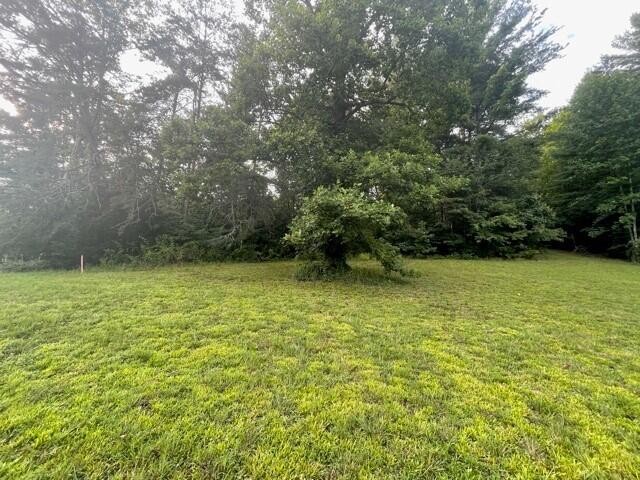 0 Coal Hill Road Harriman, TN 37748 - Photo 4 of 5