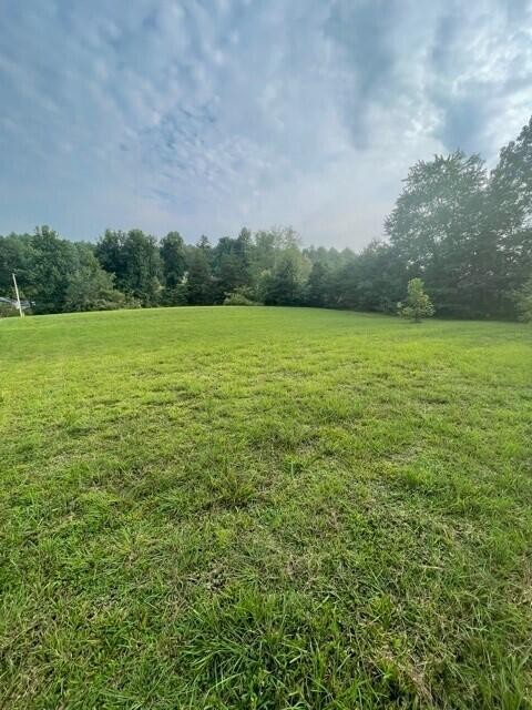 0 Coal Hill Road Harriman, TN 37748 - Photo 5 of 5