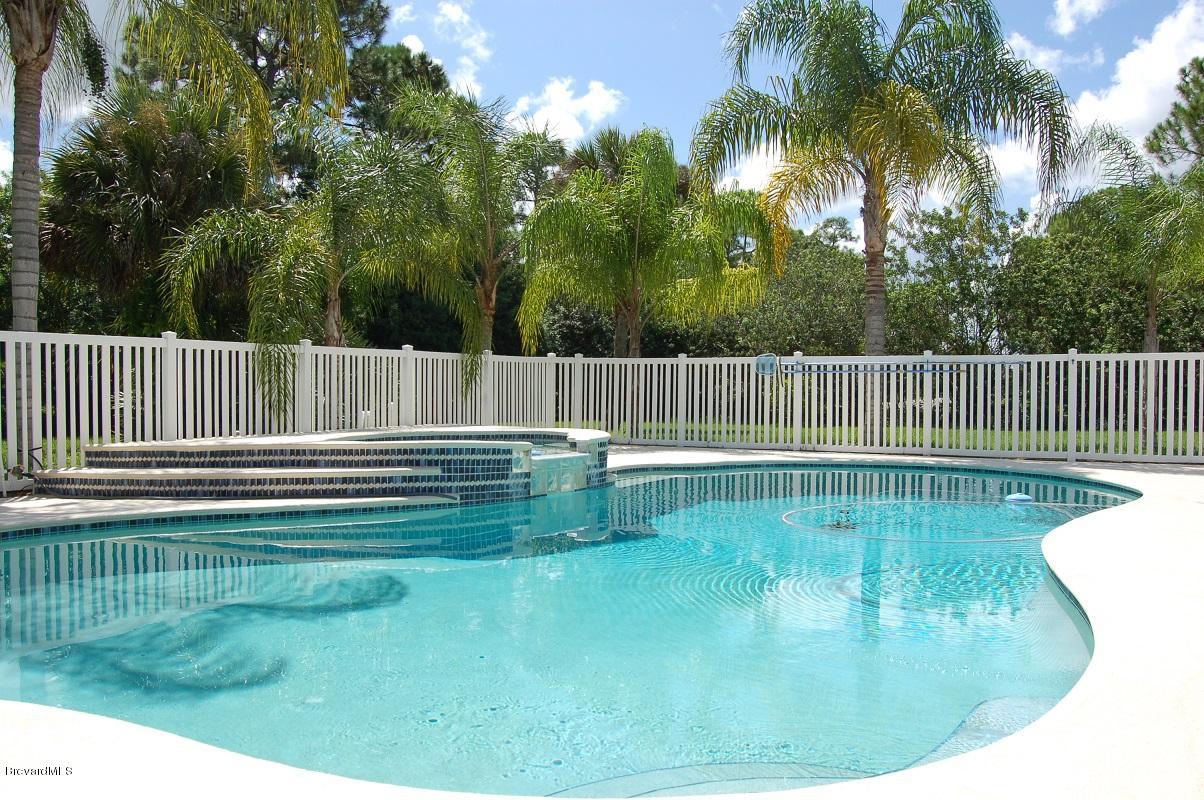 4541 Mustang Road Melbourne, FL 32934 - Photo 51 of 61 pool 1 (5)