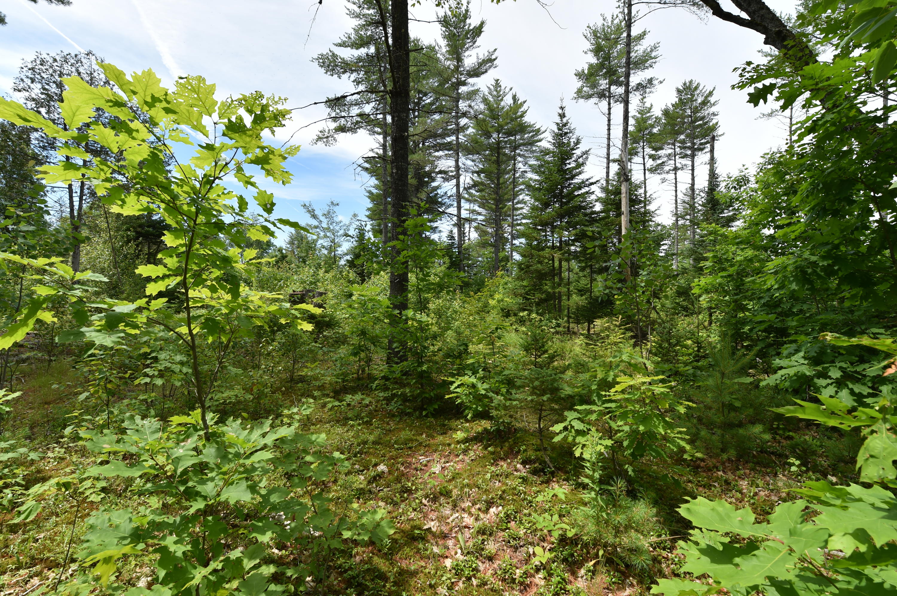 0 Dunham Road Etna, ME 04434 - Photo 1 of 17 DSC_9125