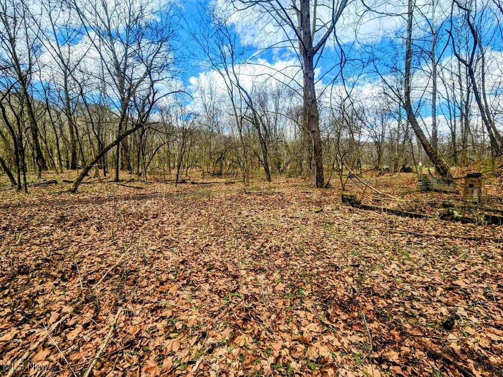 Kings Creek Road New Cumberland, WV 26047 - Photo 11 of 18