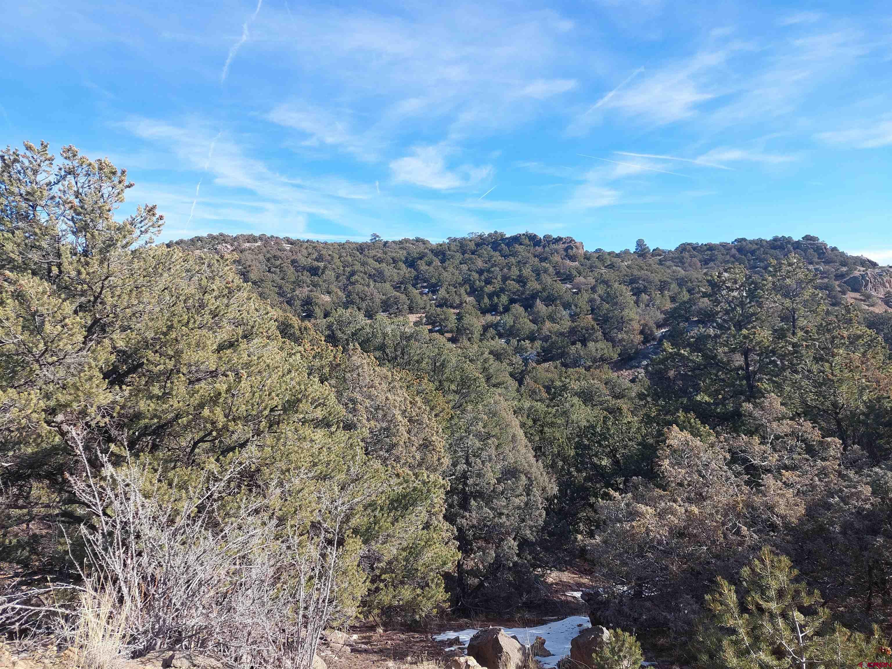 37 Turkey Creek Road South Fork, CO 81154 - Photo 2 of 6 a view of a building