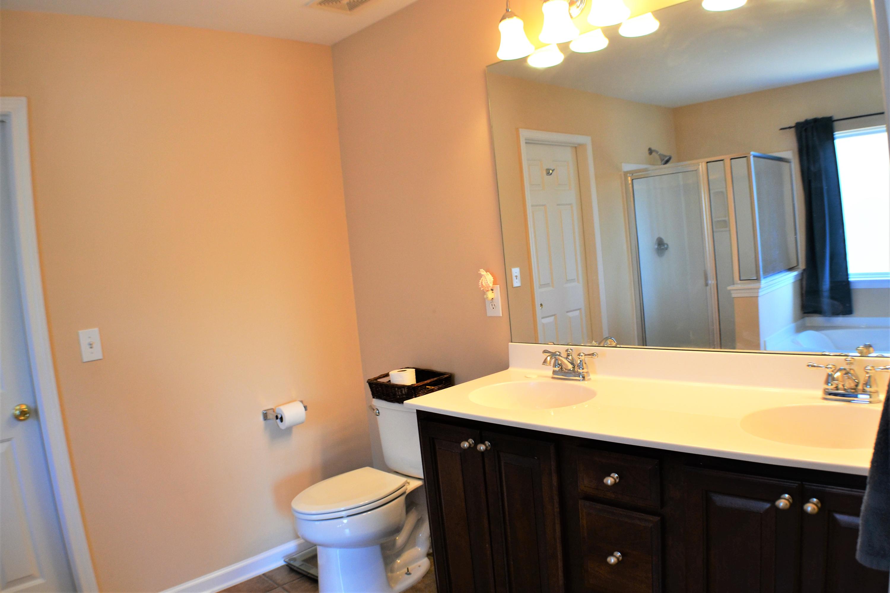 329 Albrighton Way Moncks Corner, SC 29461 - Photo 16 of 27 Master Bath Vanity