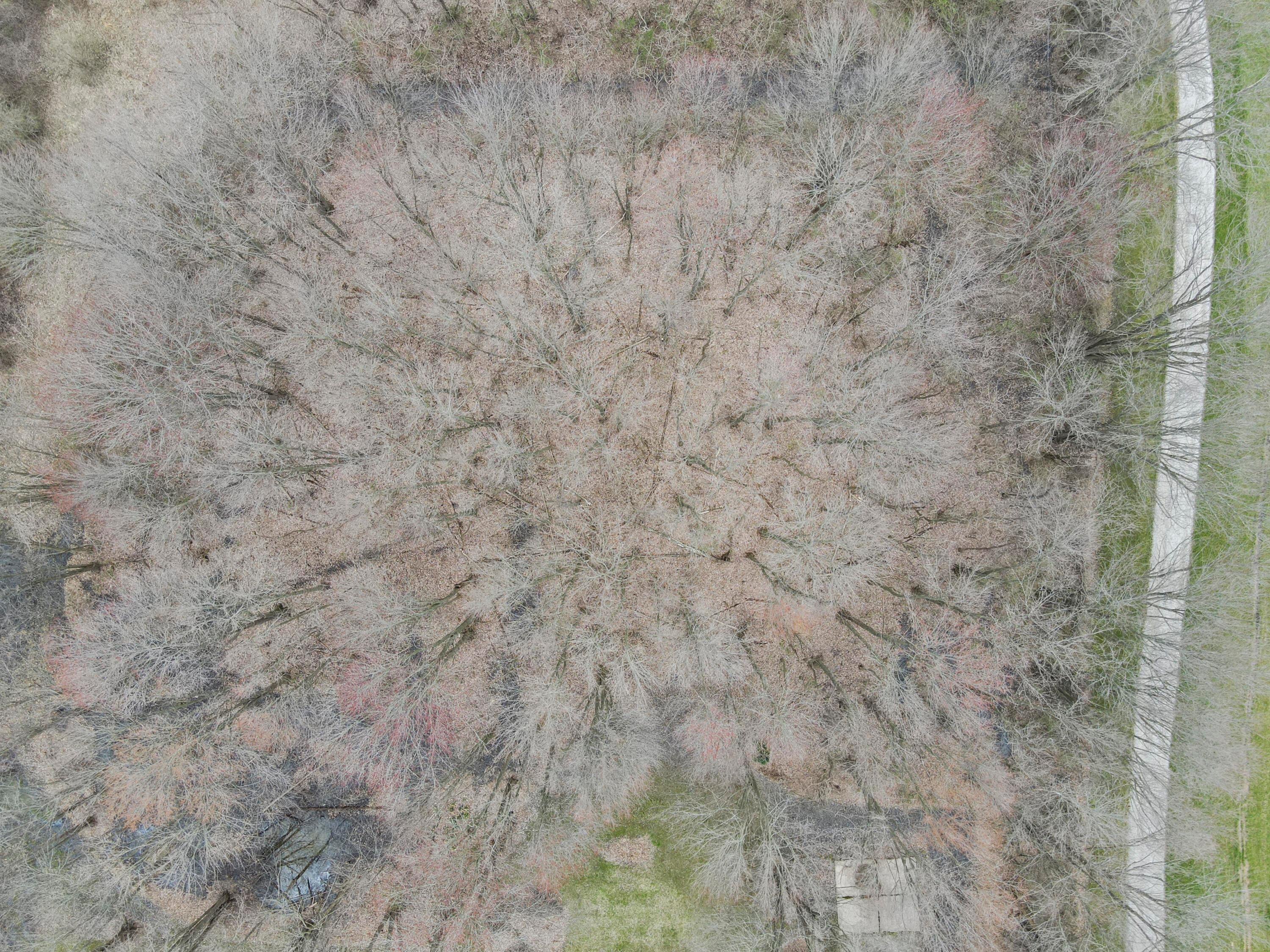 14700 Clark State Road Southwest Pataskala, OH 43062 - Photo 36 of 83 DJI_0651