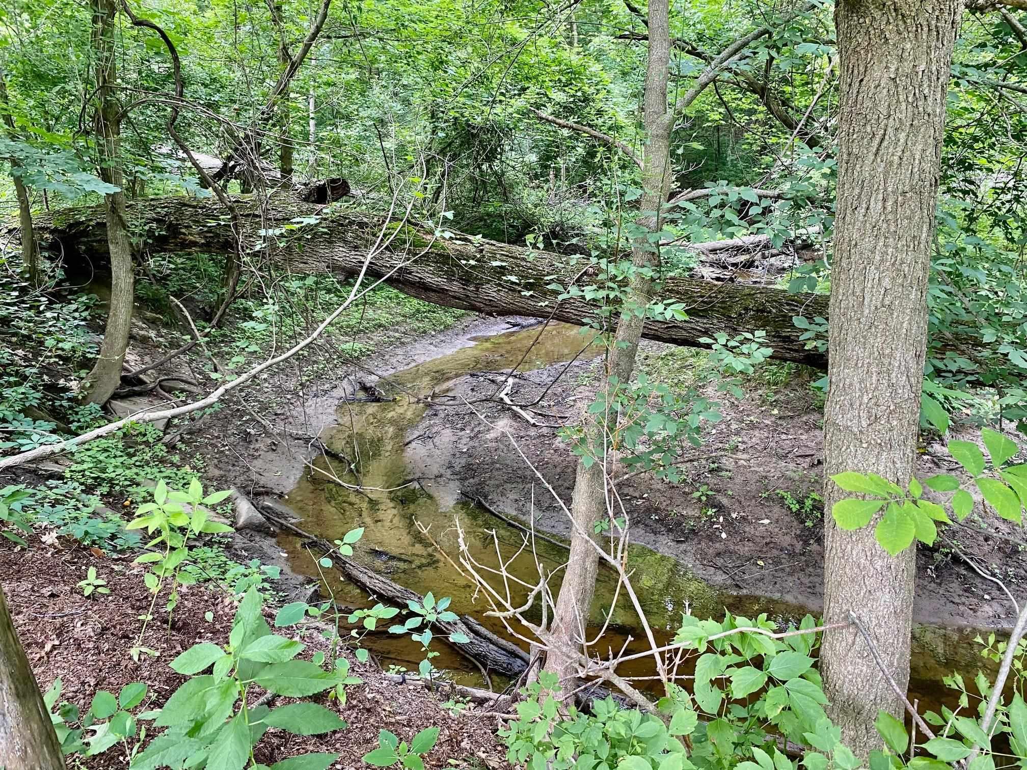 10435 Garman Road Leo, IN 46765 - Photo 12 of 35