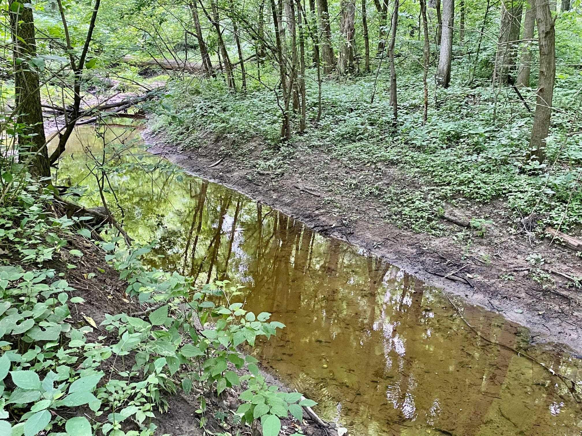 10435 Garman Road Leo, IN 46765 - Photo 13 of 35