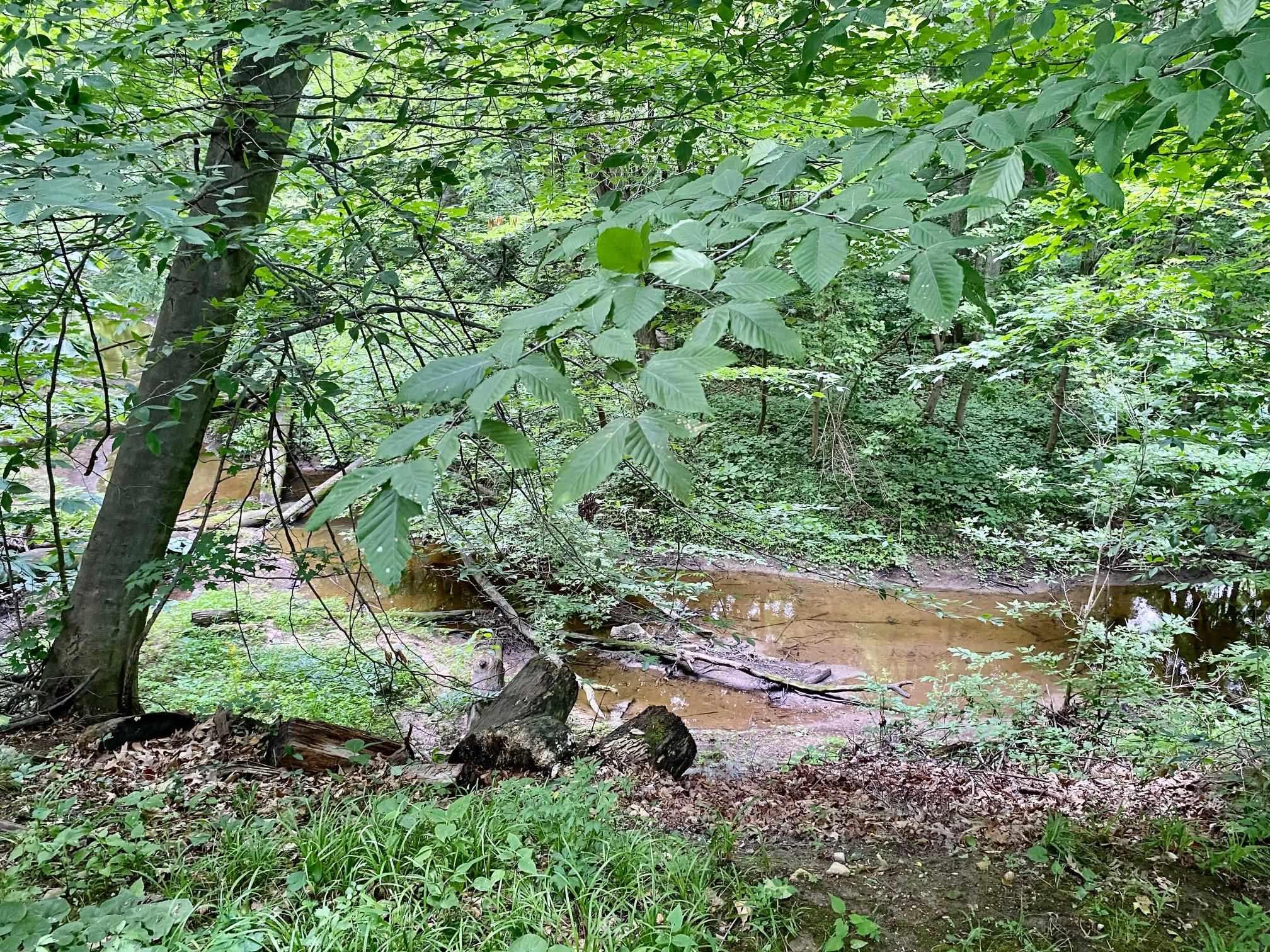 10435 Garman Road Leo, IN 46765 - Photo 14 of 35