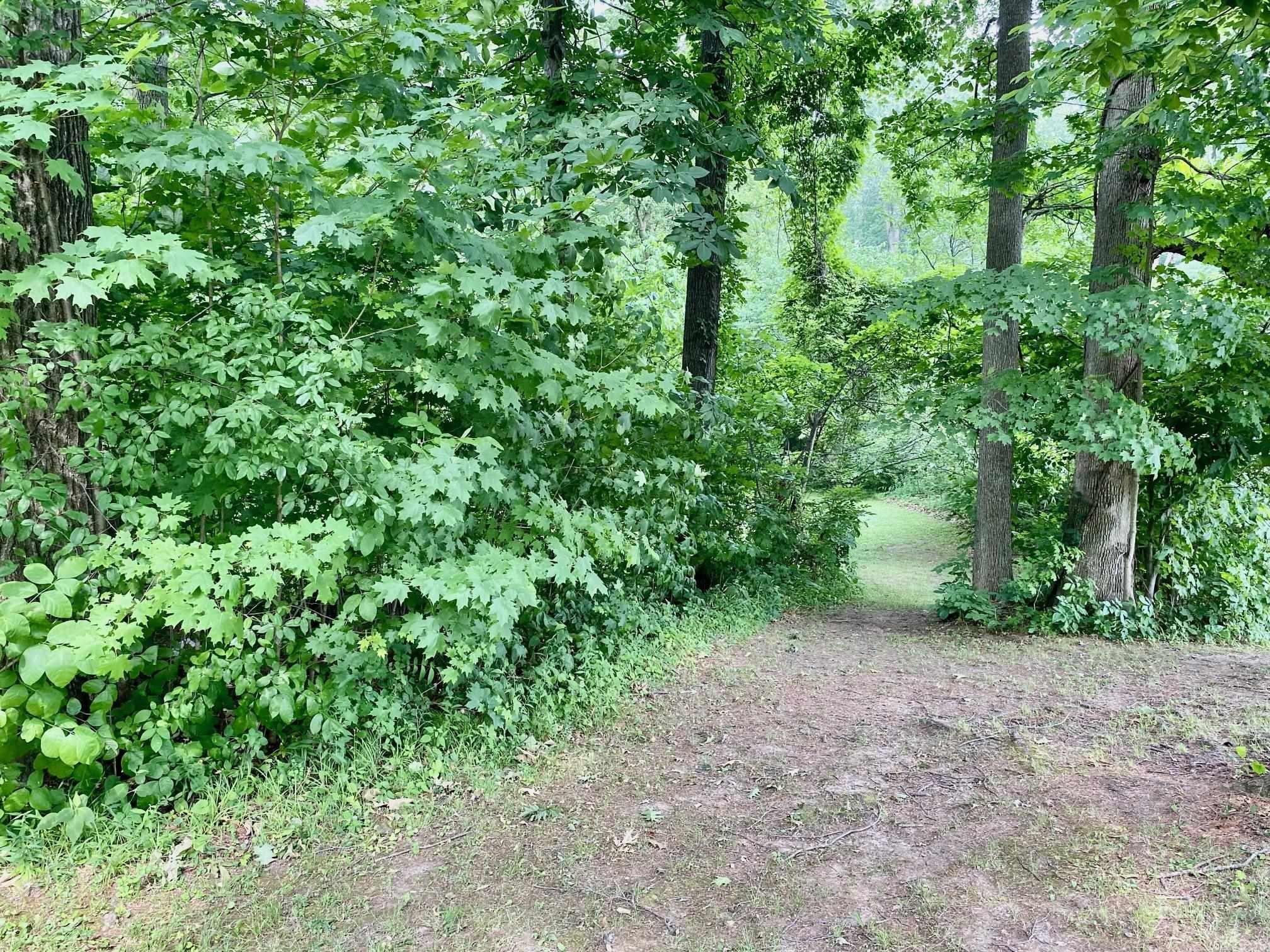 10435 Garman Road Leo, IN 46765 - Photo 8 of 35