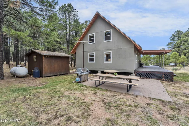 a view of a park with large trees