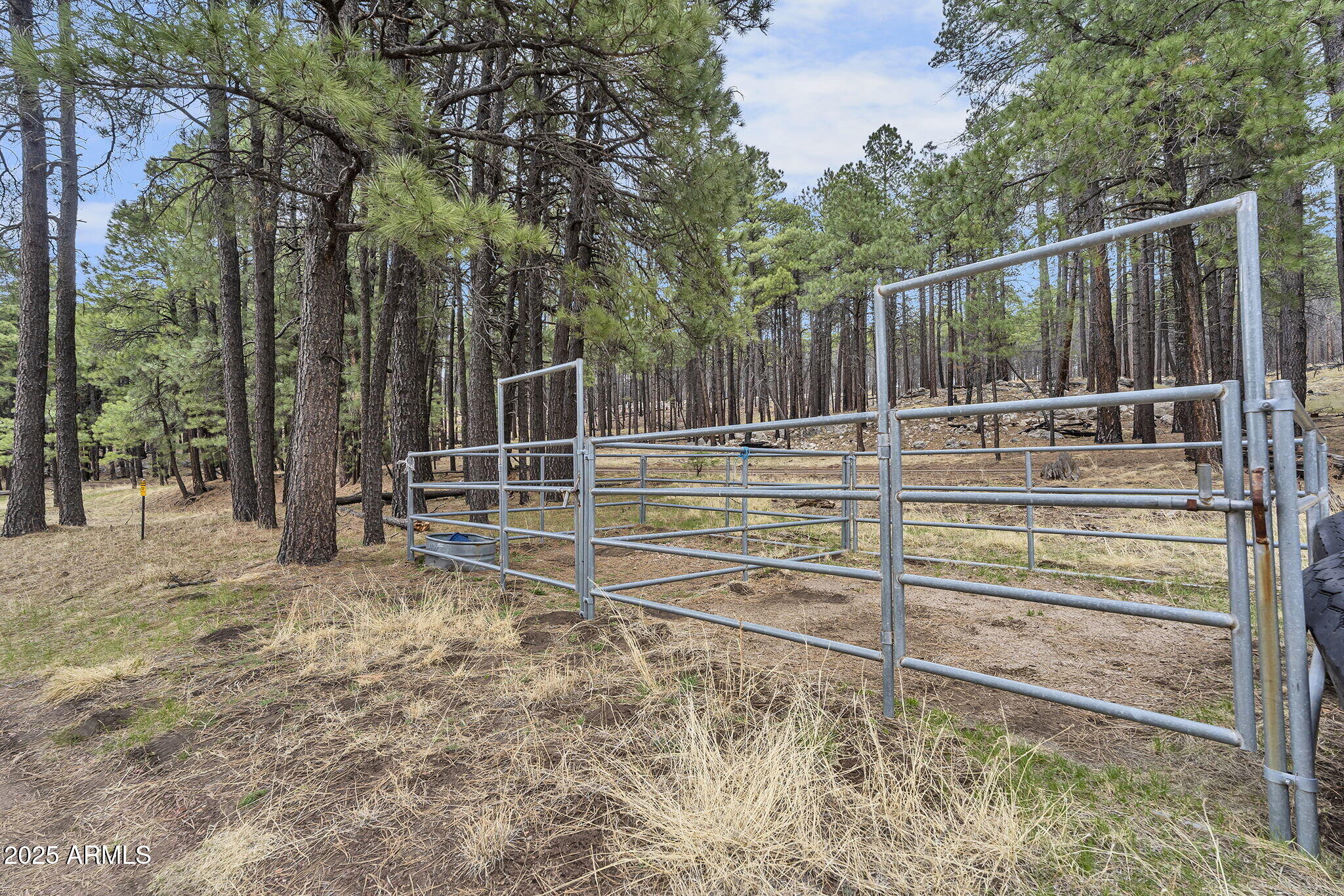 5348 Forest Service 701 Road Happy Jack, AZ 86024 - Photo 42 of 59 a view of a backyard with fence