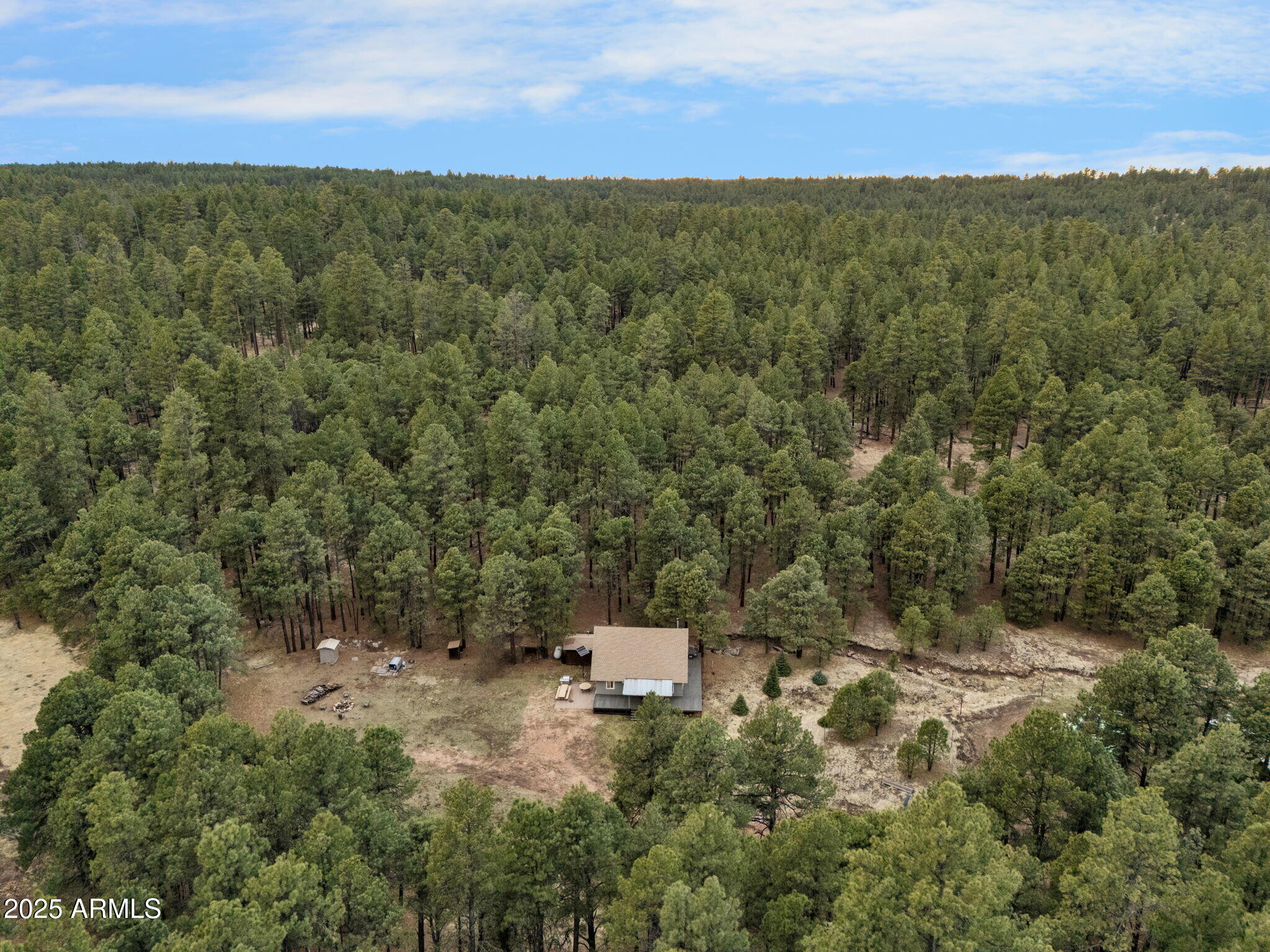 5348 Forest Service 701 Road Happy Jack, AZ 86024 - Photo 46 of 59 a view of a forest with trees in the background