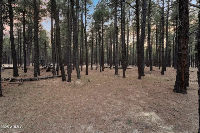 $550,000 | 5348 Forest Service 701 Road, Happy Jack, AZ 86024