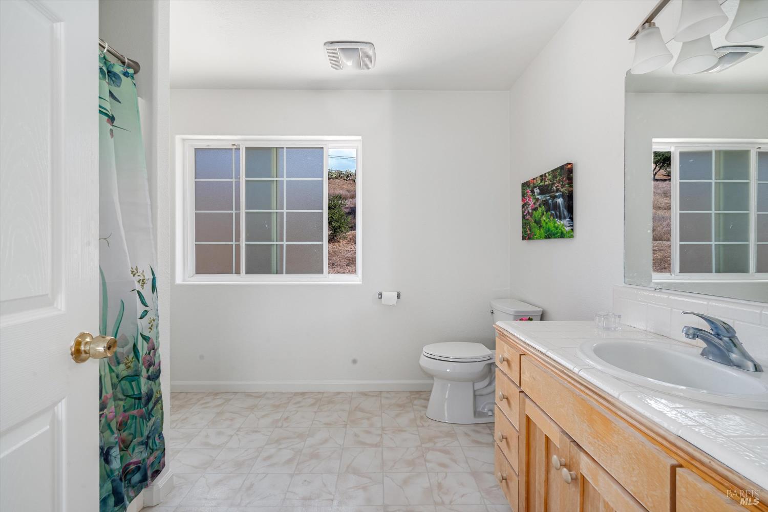 6001 Lichau Road Penngrove, CA 94951 - Photo 57 of 86 a bathroom with a sink and a toilet