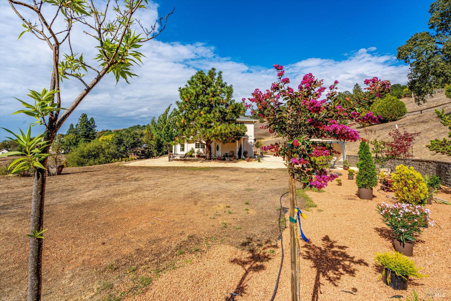 6001 Lichau Road Penngrove, CA 94951 - Photo 76 of 86