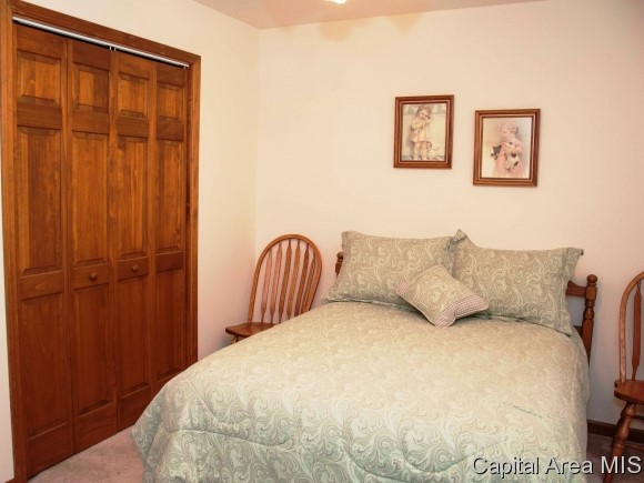 10 Spring Street Riverton, IL 62561 - Photo 17 of 24 Gallery Image 17
