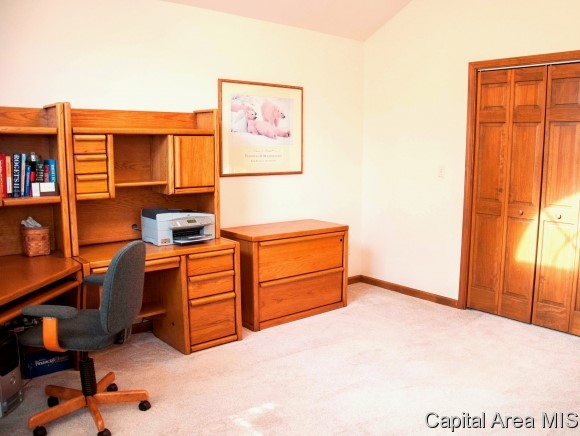 10 Spring Street Riverton, IL 62561 - Photo 18 of 24 Gallery Image 18