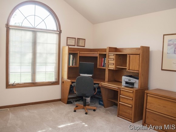 10 Spring Street Riverton, IL 62561 - Photo 23 of 24 Gallery Image 23