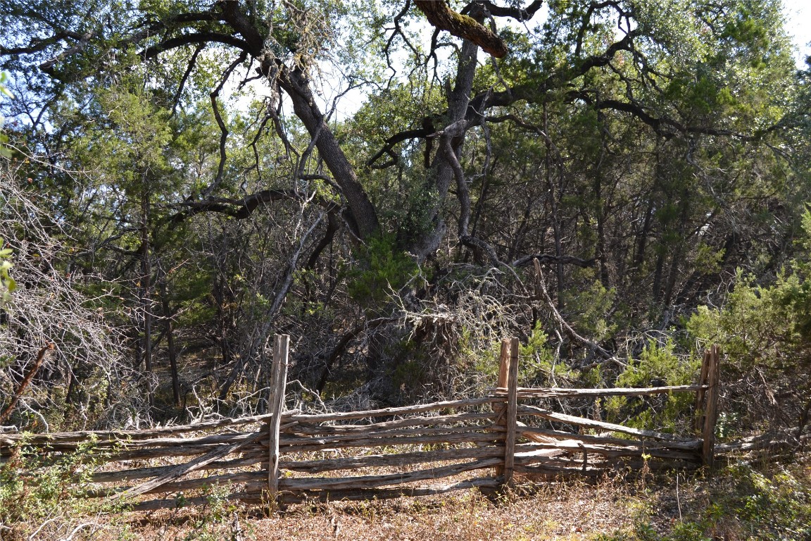 8409 Appaloosa Run Austin, TX 78737 - Photo 30 of 40 a view of statue