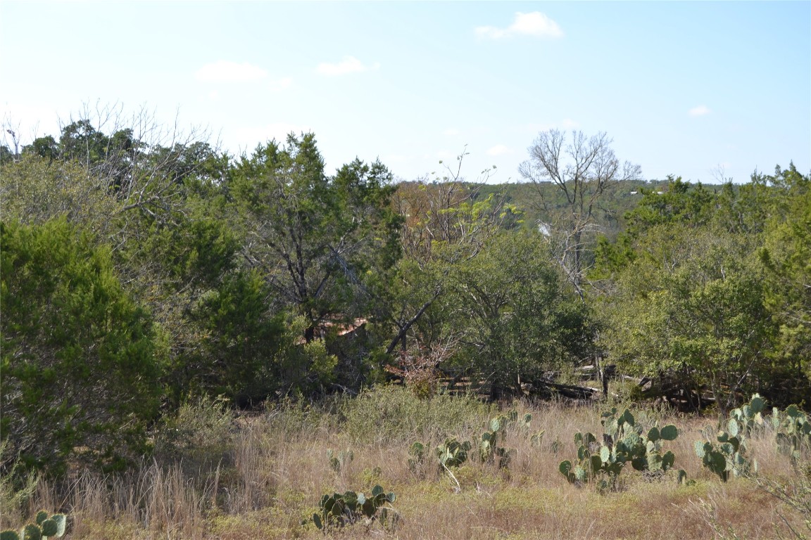 8409 Appaloosa Run Austin, TX 78737 - Photo 35 of 40 a view of a forest with a forest