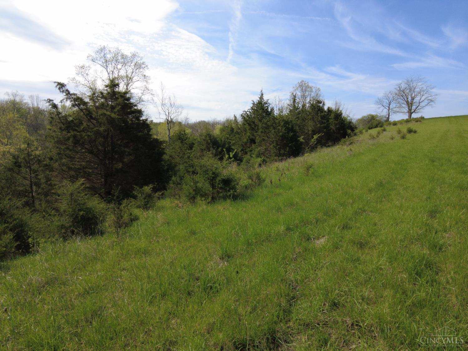 9951 Fishing Gut Road Aberdeen, OH 45101 - Photo 12 of 50