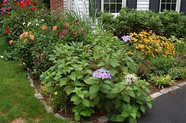 15 Valley Road Dover, MA 02030 - Photo 17 of 25 Gallery Image 17