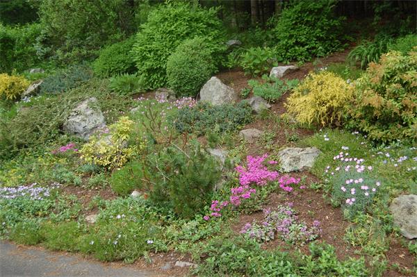 15 Valley Road Dover, MA 02030 - Photo 25 of 25 Gallery Image 25