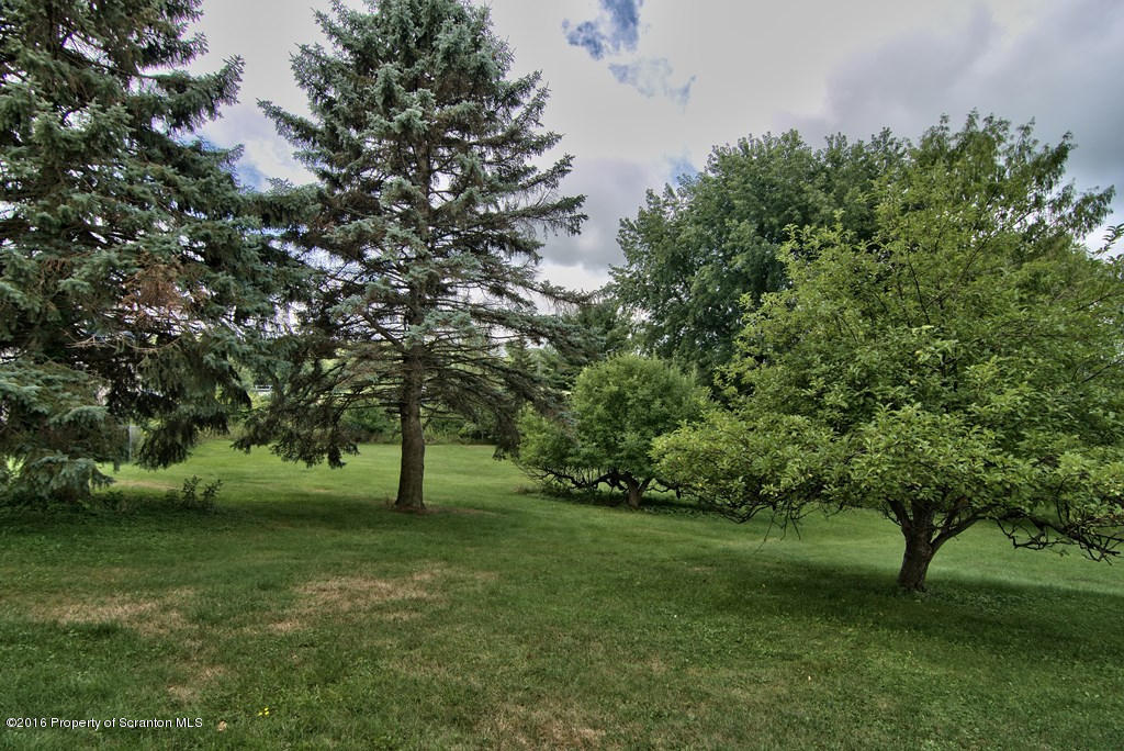 117 Welsh Hill Road Clarks Summit, PA 18411 - Photo 15 of 49 Gallery Image 15