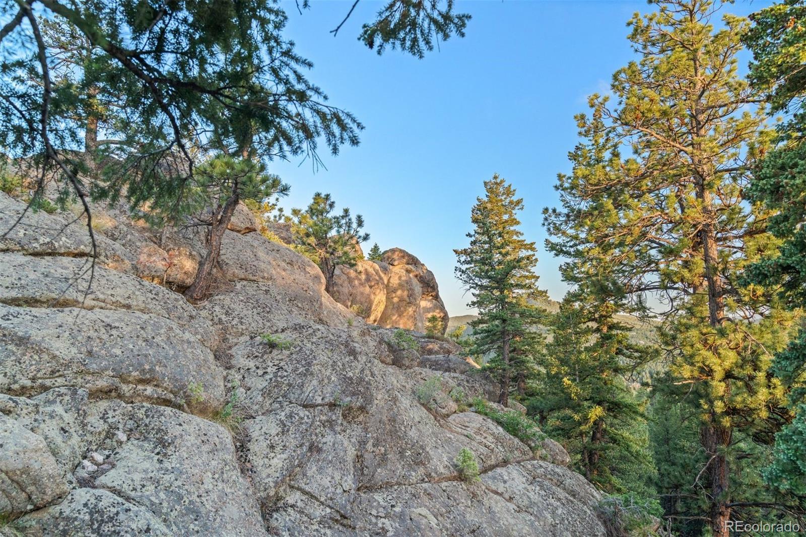 6371 Canyon Creek Road Evergreen, CO 80439 - Photo 42 of 50 a view of a pathway with a tree