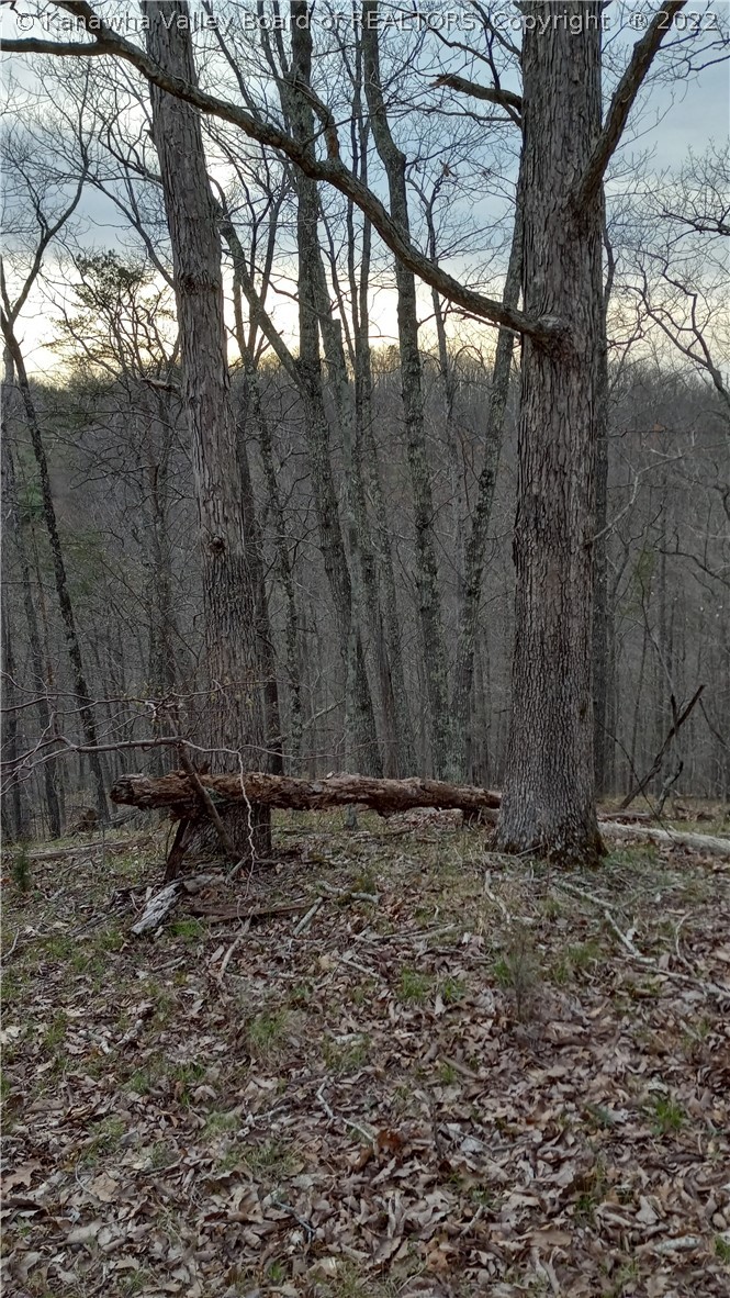 0 Rheva Lane Leon, WV 25123 - Photo 11 of 13 Gallery Image 11