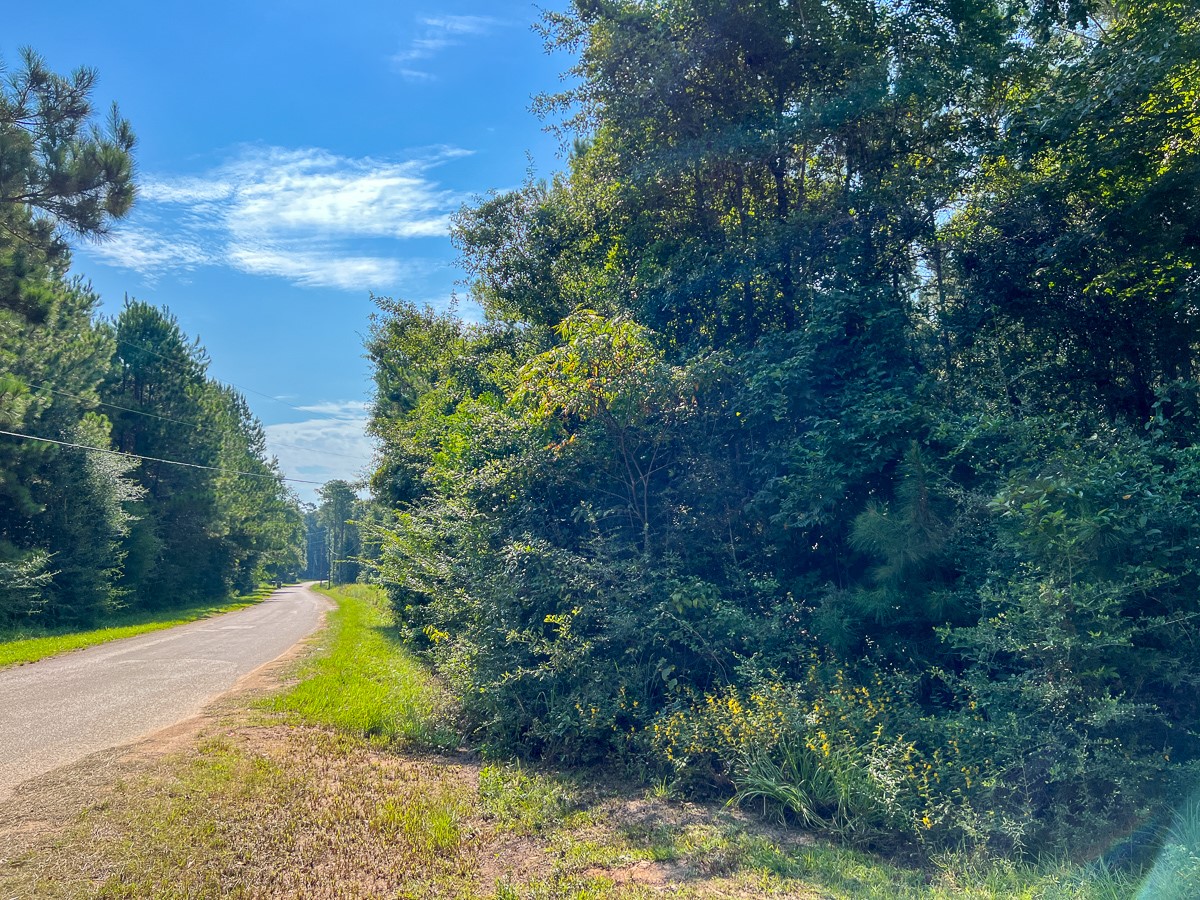 2 County Road 1325 Warren, TX 77664 - Photo 2 of 10
