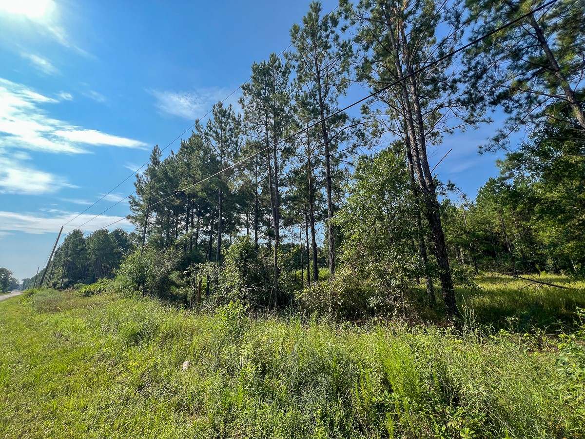 2 County Road 1325 Warren, TX 77664 - Photo 5 of 10